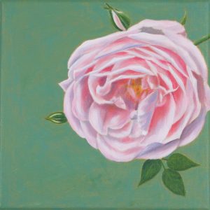 "New Dawn" rosa Rosenblüte in Acryl auf Leinwand, 25x25 cm, Stamer