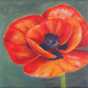 roter Mohn vor grünem Hintergrund, Acryl auf Leinwand, 25x25 cm, Stamer