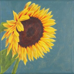 "Sunshine" gelbe Sonnenblume auf blaugrünem Hintergrund, Acryl auf Leinwand 25x25 cm, Stamer