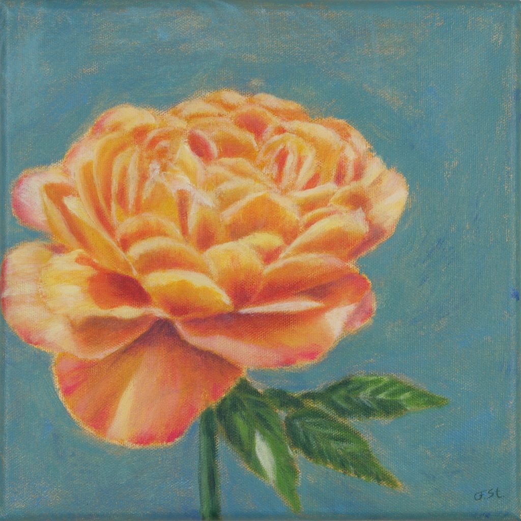 orange Rosenblüte auf türkisgrünem Hintergrund, Acrylbild auf Leinwand, 25x25 cm, Stamer