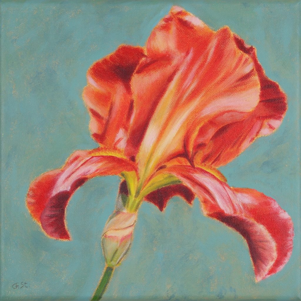 Rainbow - rote Iris auf grünem Hintergrund, Acryl auf Leinwand, Serie Blumenportraits