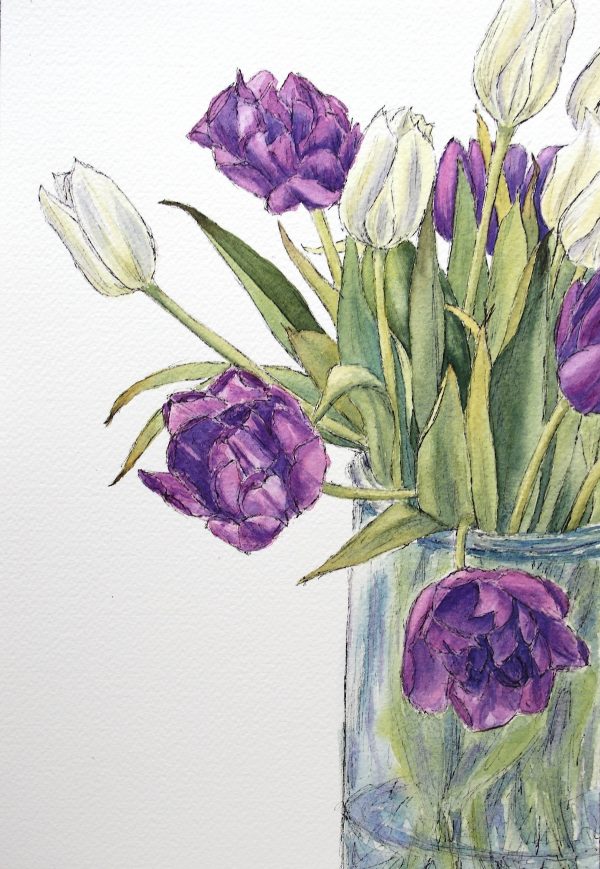 Frühlingserwachen, Tulpen in Aquarell auf Papier, Stamer, 18x26 cm