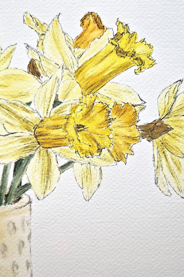 Gelbe Freude, Narzissen in Tinte und Aquarell auf Papier, Stamer, Detail