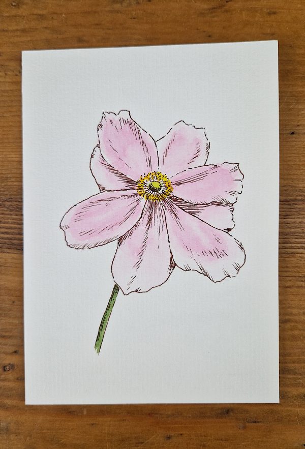 Grußkarte Herbstanemone rosa line&wash