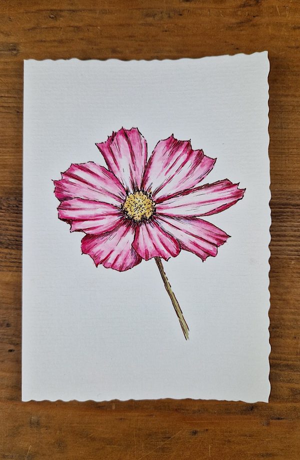 Grußkarte Cosmos line&wash