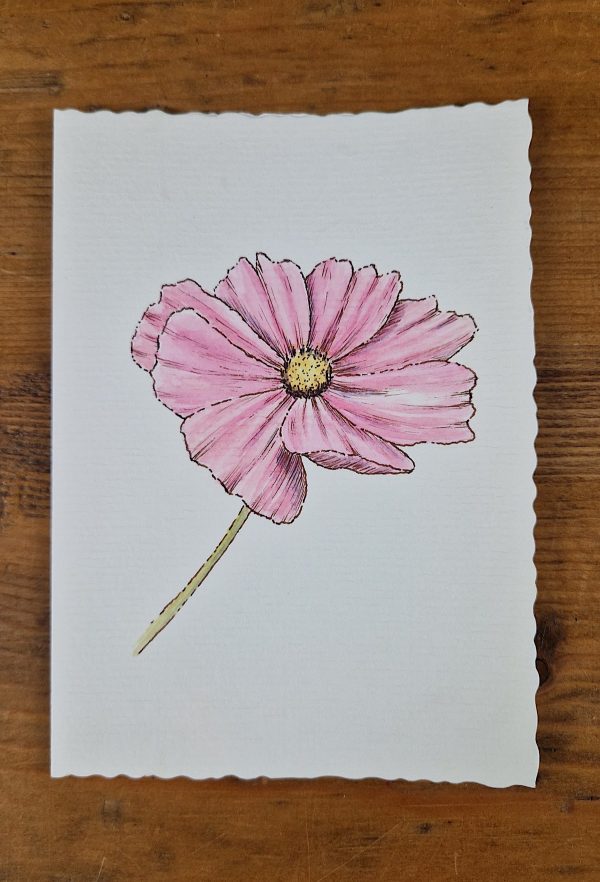 Grußkarte Cosmos line&wash