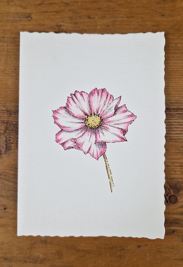 Grußkarte Cosmos line&wash