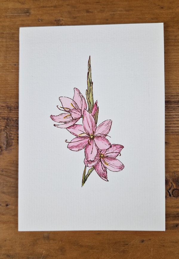 Grußkarte Hespera line&wash