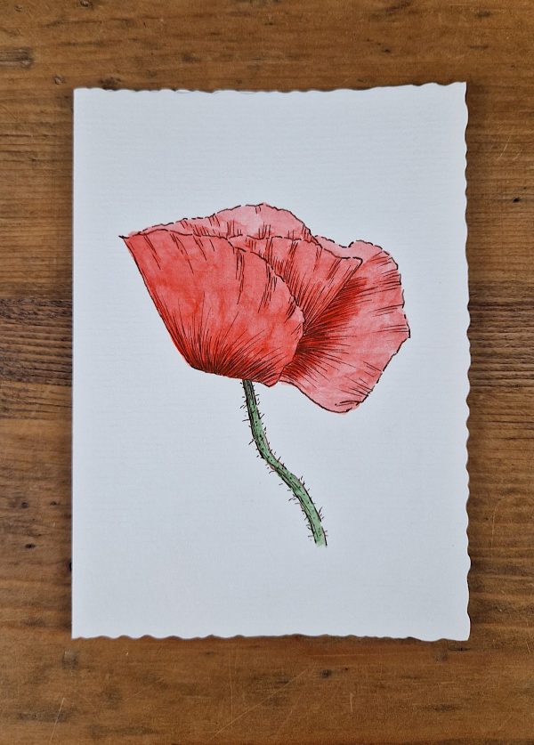 Grußkarte Mohn line&wash