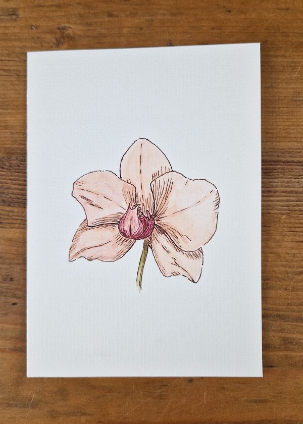 Grußkarte Orchidee line&wash