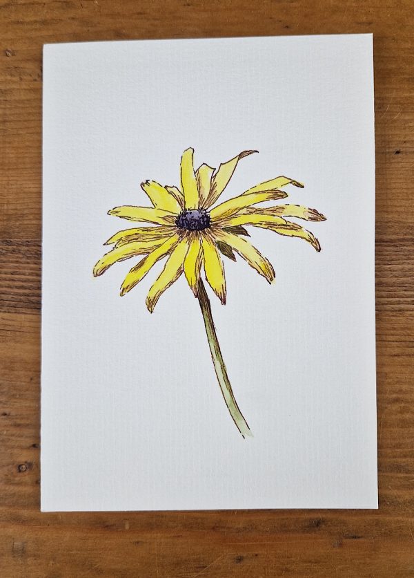 Grußkarte Rudbeckia line&wash