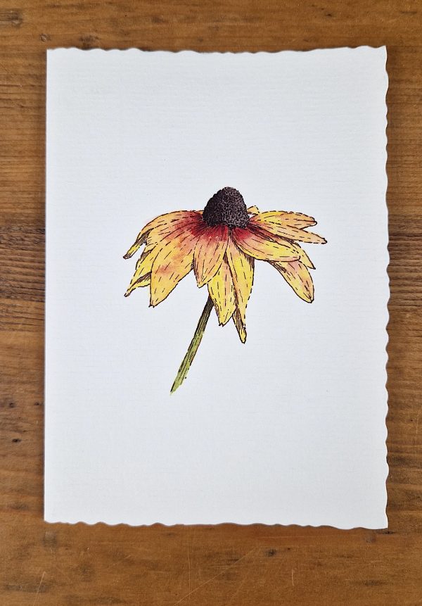 Grußkarte Rudbeckia line&wash