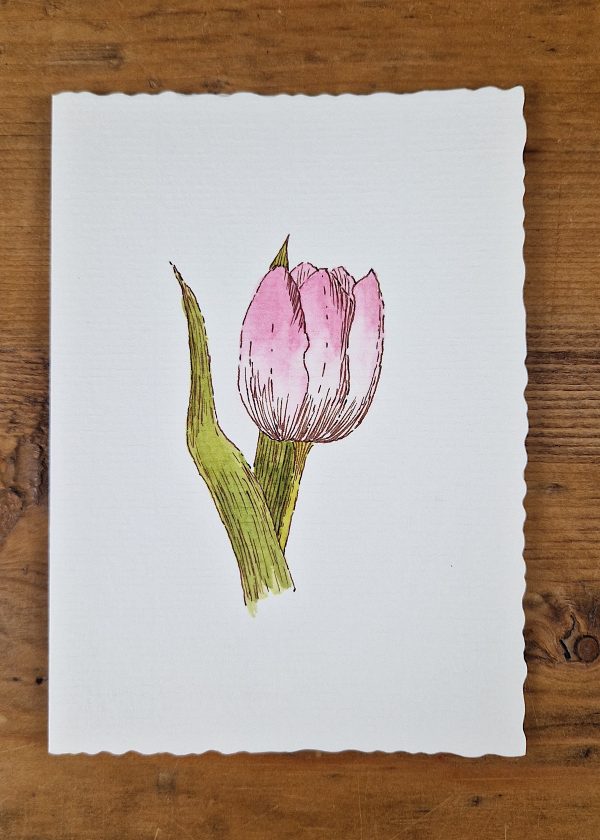 Grußkarte Tulpe line&wash