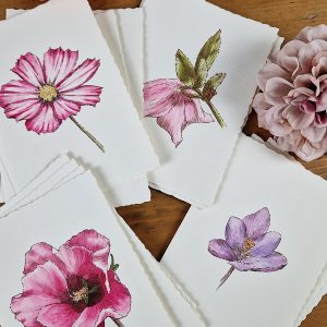 Grußkarten, florale Motive in line&wash