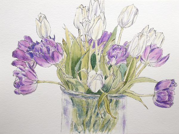 Tulpenliebe, Aquarell und Tinte auf Papier, Stamer, 32x24 cm