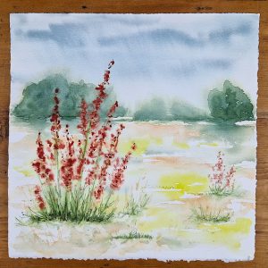 It's been a rainy walk - Landschaftsaquarell
