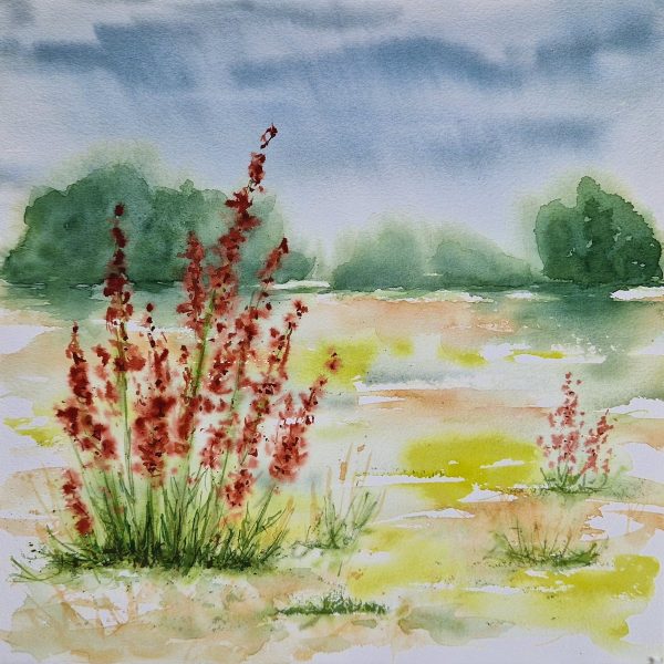 It's been a rainy walk – Bild 2