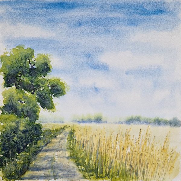 Spaziergang im Juni – Bild 2