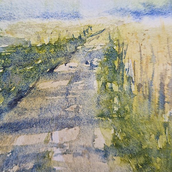 Spaziergang im Juni – Bild 3